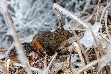指令编程游戏《A=B》上架Steam 人人都是程序员