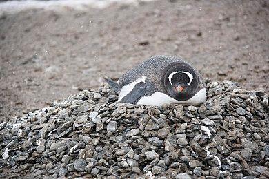 《上古卷轴4：重制版》某玩家因Bug“服刑”19年引发热议