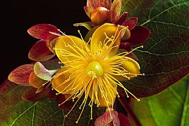 Fami通本周游戏评分 《毁灭全人类：重制版》获30分